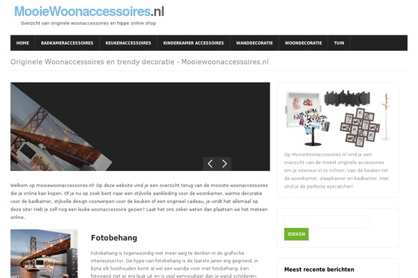 Magnovus theme site design template sample