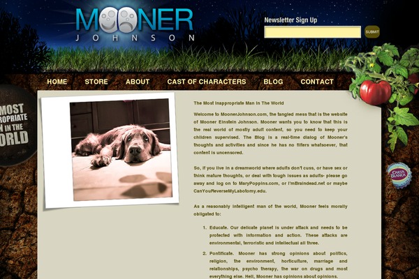 Site using HITS- IE6 PNGFix plugin