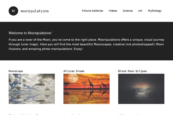 The-writer theme site design template sample