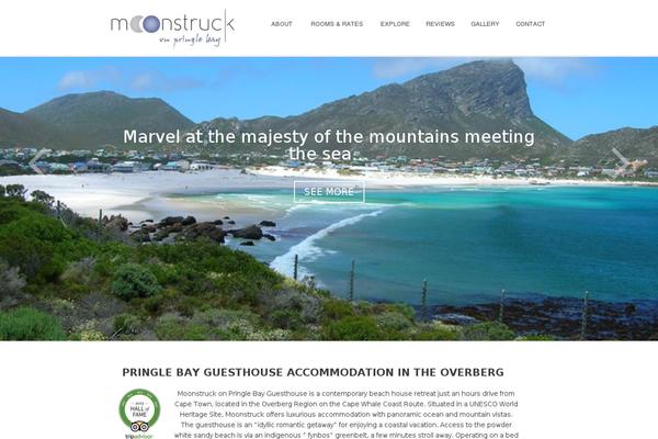 Indigo theme site design template sample