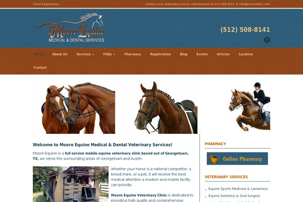 Modernize v3.16 theme site design template sample
