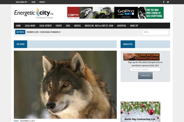 Site using Proradio-videogalleries plugin