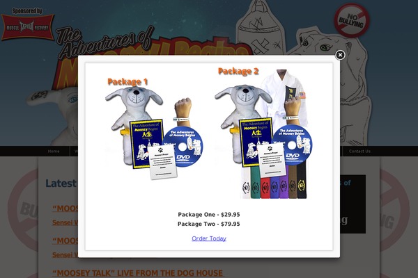 Site using Facebook Page Photo Gallery plugin