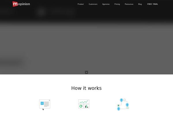mopinion.com site used Mopinionated