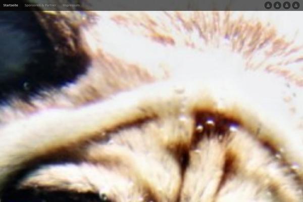 Site using Aawp plugin