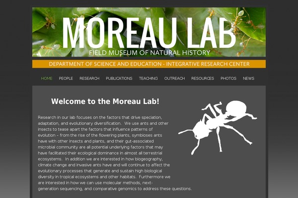 Weaver II theme site design template sample