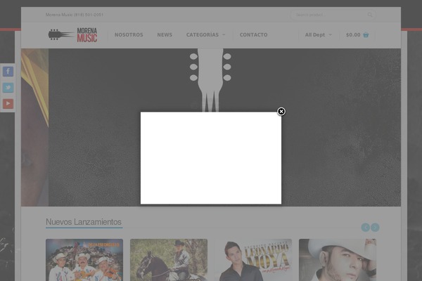 Site using Twitter Feed plugin