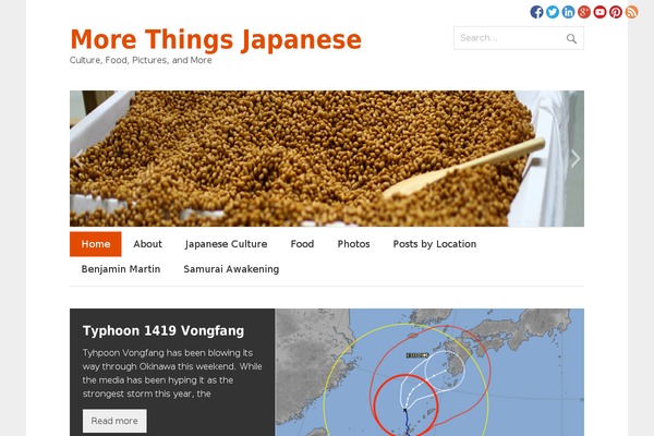 morethingsjapanese.com site used Promos