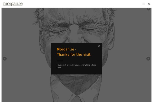 morgan.ie site used Kalium-child-photography