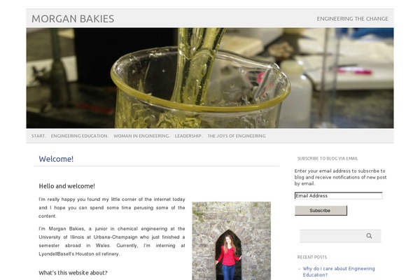 picolight theme site design template sample