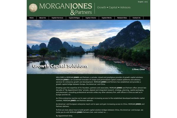 morganjonespartners.com site used Lj-theme