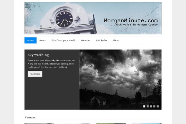 zeeFlow theme site design template sample