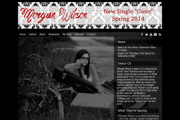 responsive-visual theme websites examples