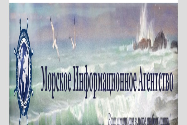 zeeDynamic theme site design template sample