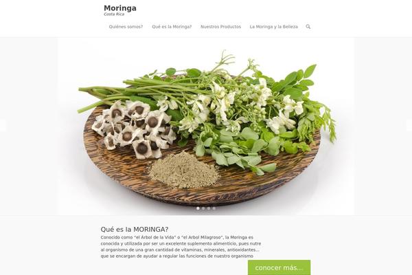 Adventurous theme site design template sample