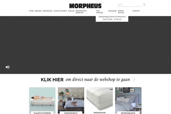Morpheus theme site design template sample
