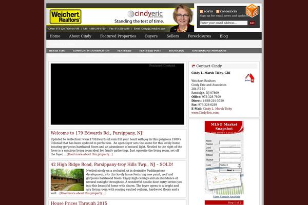 Agent_30 theme site design template sample