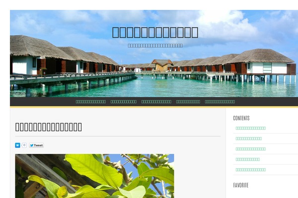 morrisonforcitycourt.com site used Summit Lite