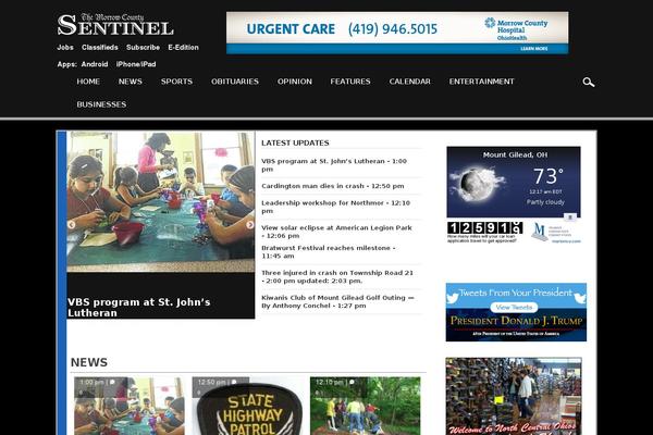 Civitasmedium theme site design template sample