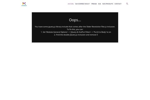 Translang theme site design template sample