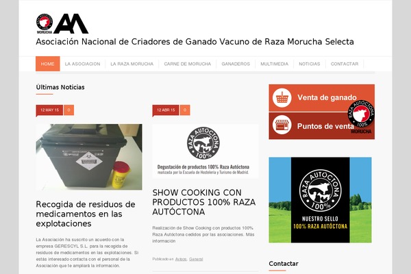 Site using All in One SEO Pack plugin