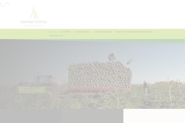 Site using Divi-toolbox plugin