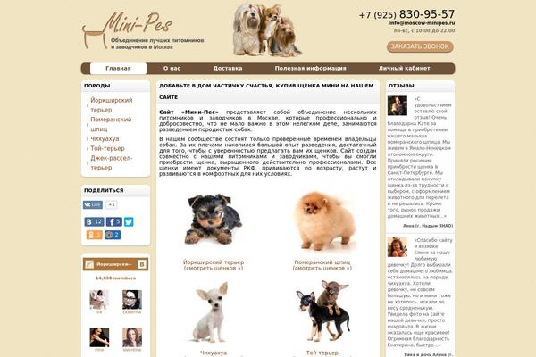 Shablon theme site design template sample
