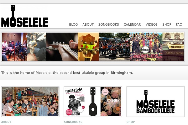 WP Opulus theme site design template sample