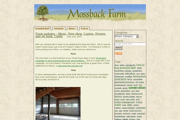 Wpthemegen theme site design template sample