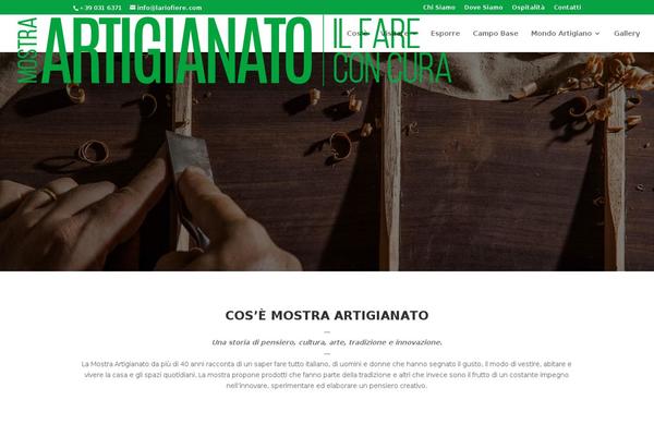 Divi-child-theme theme site design template sample