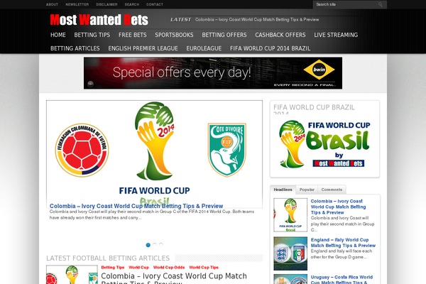 Resportsive theme site design template sample