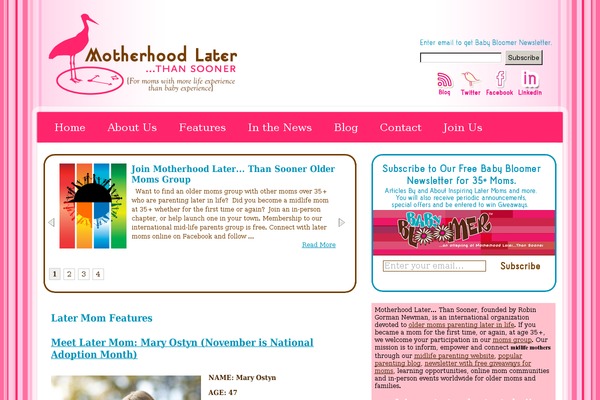 motherhoodlaterthansooner.com site used Popblue3c