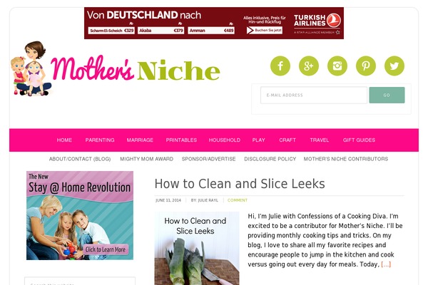 mothersniche.com site used Momswhothink-theme
