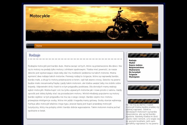 Cool-biker-10 theme site design template sample