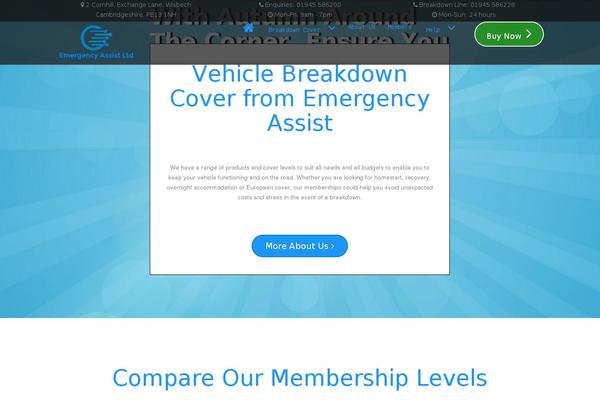 Site using Google-reviews-pro plugin