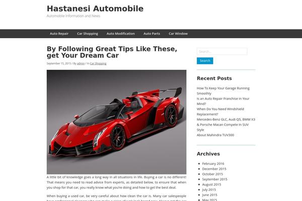 Minn Lite theme site design template sample