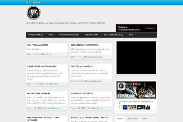 Flexormagazine theme site design template sample