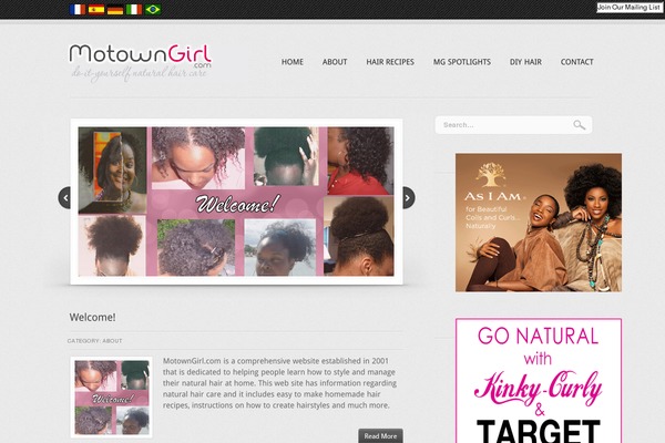 The Blog theme site design template sample