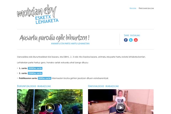Site using Advanced Responsive Video Embedder plugin