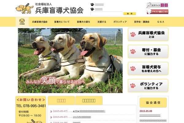 Dog theme site design template sample