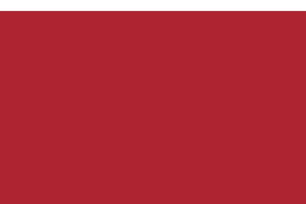 NUVO theme site design template sample
