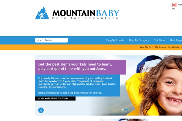 Fearless theme site design template sample