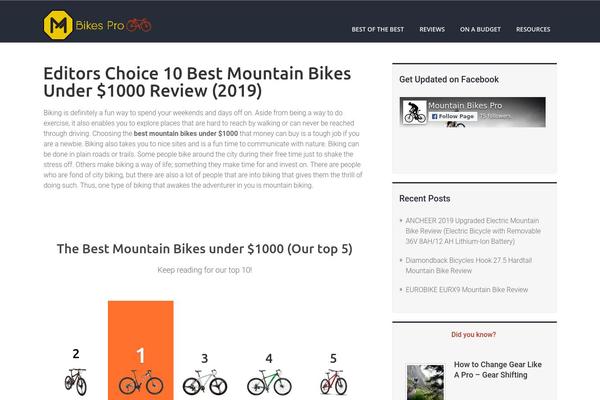 Rise theme site design template sample