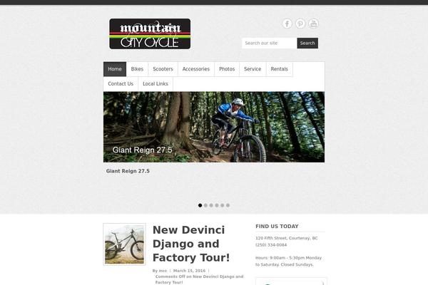 Simple Catch Pro theme site design template sample