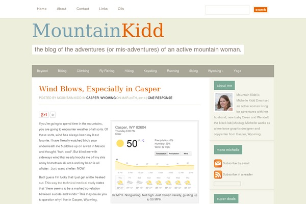 Puretype theme site design template sample