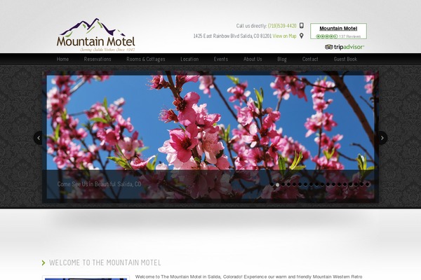Site using Testimonial Basics plugin