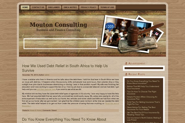 auction_wp_theme theme websites examples