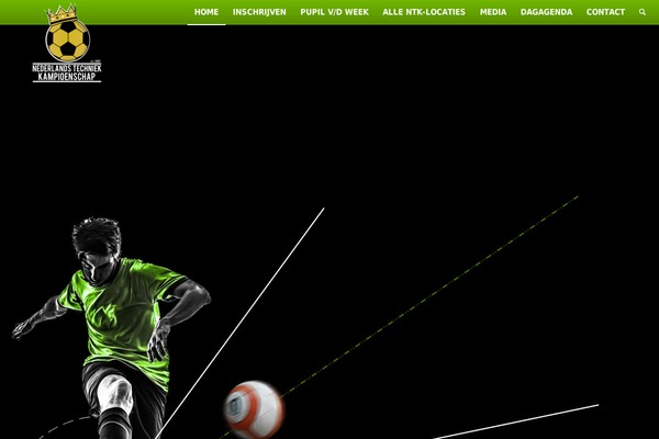 moves-skills.nl site used Penp