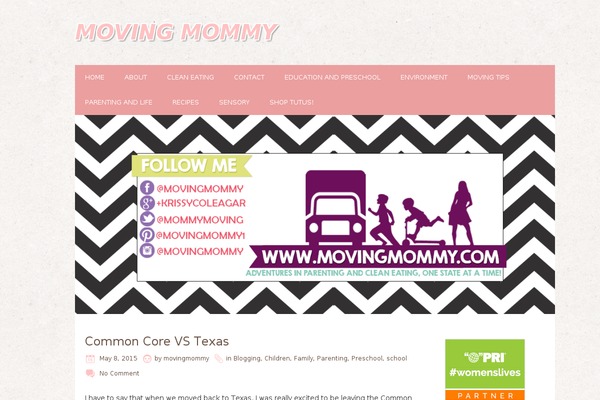 Chooko Lite theme site design template sample