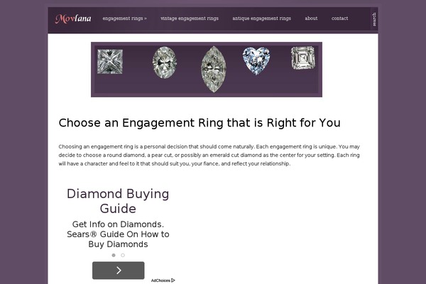 Cion theme site design template sample